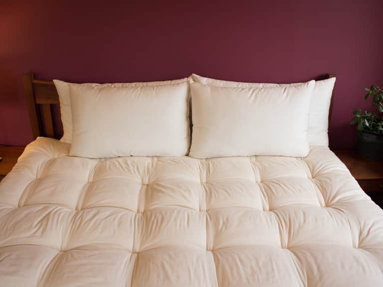 Certified Organic Wool Bed Pillows image