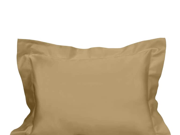 Raffaello Sham image