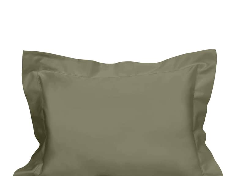 Raffaello Sham image