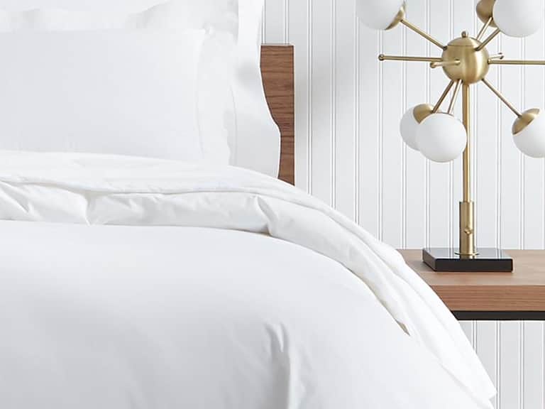 Analisa Flat Sheet image