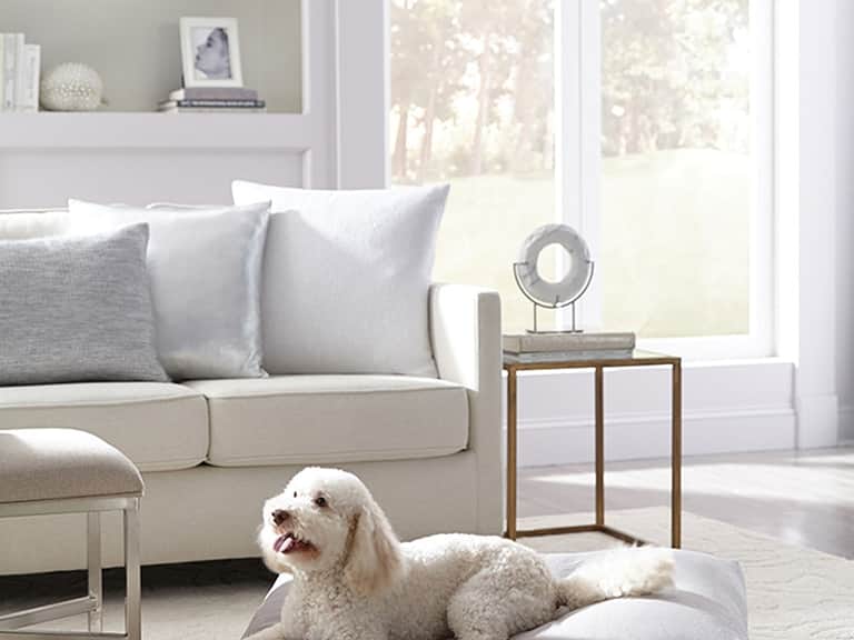 Lettino Dog Bed image