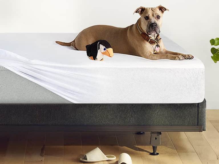 Breathable Mattress Protector 2023 image