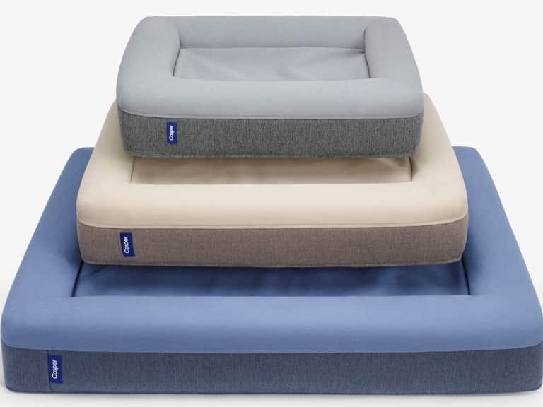 The Dog Bed image