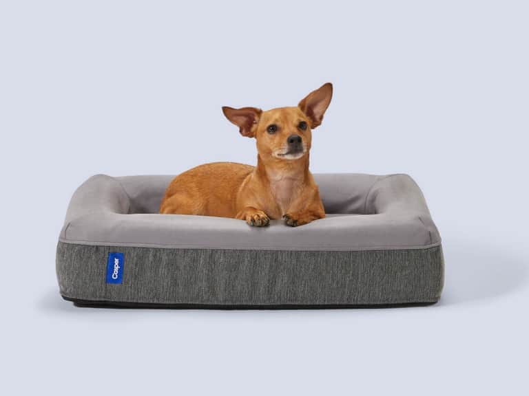 The Dog Bed image