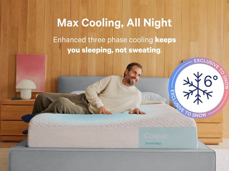 Snow Max image