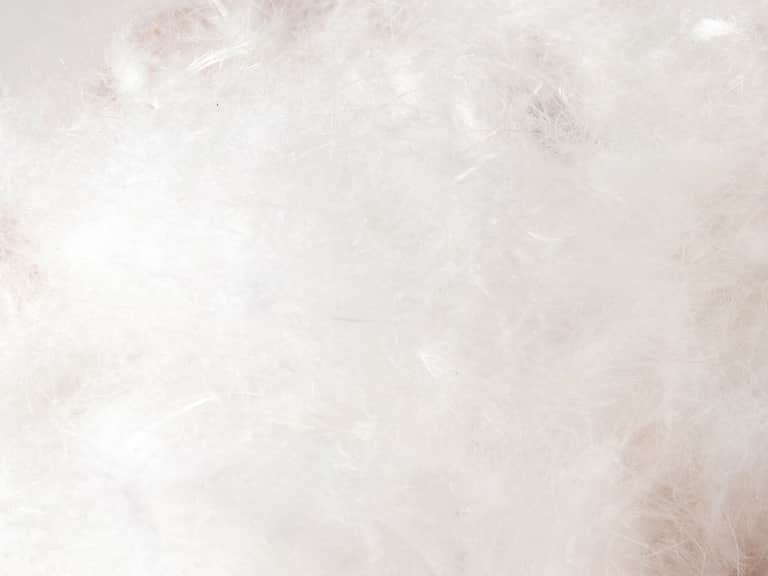 Down Pillow image