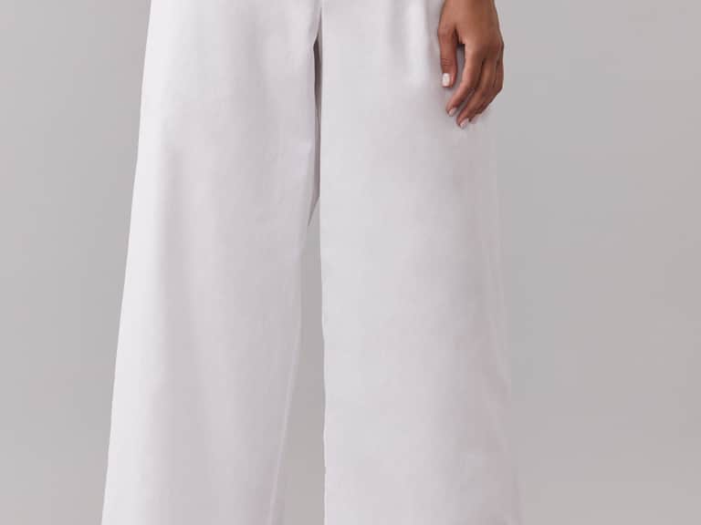 Caricia Pant image