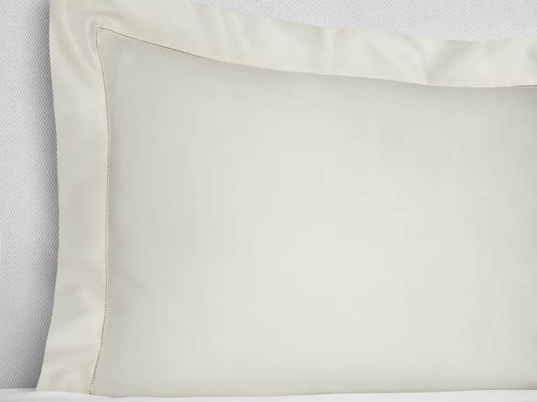 Giotto Sham image