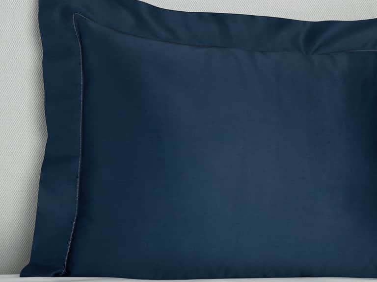 Giotto Sham image