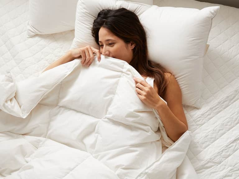 Lightweight Down Duvet Insert image