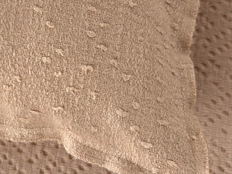 Plume Cushion image