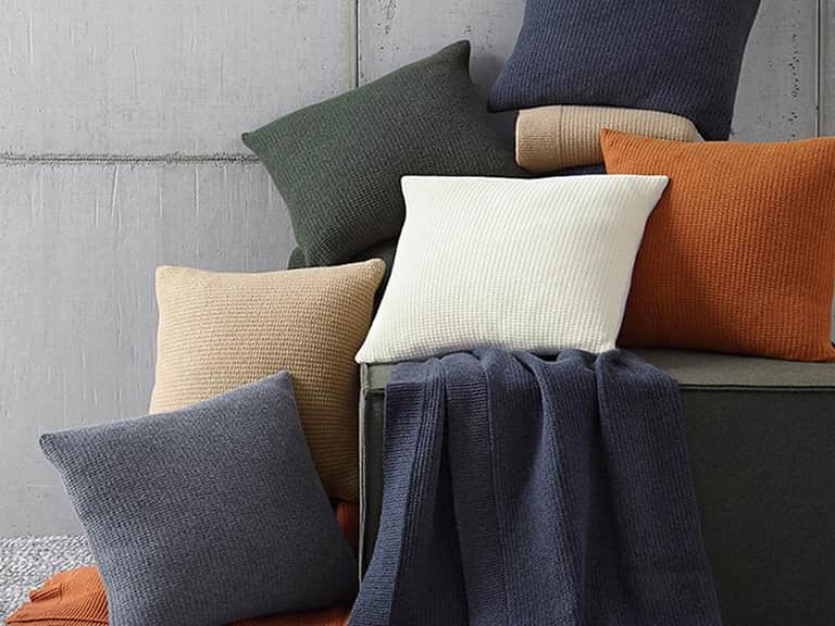 Pettra Decorative Pillow image