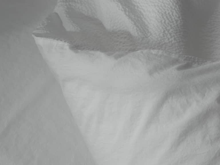Sire Duvet Cover image