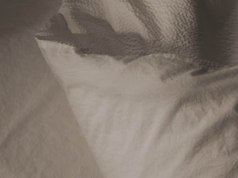 Sire Duvet Cover image
