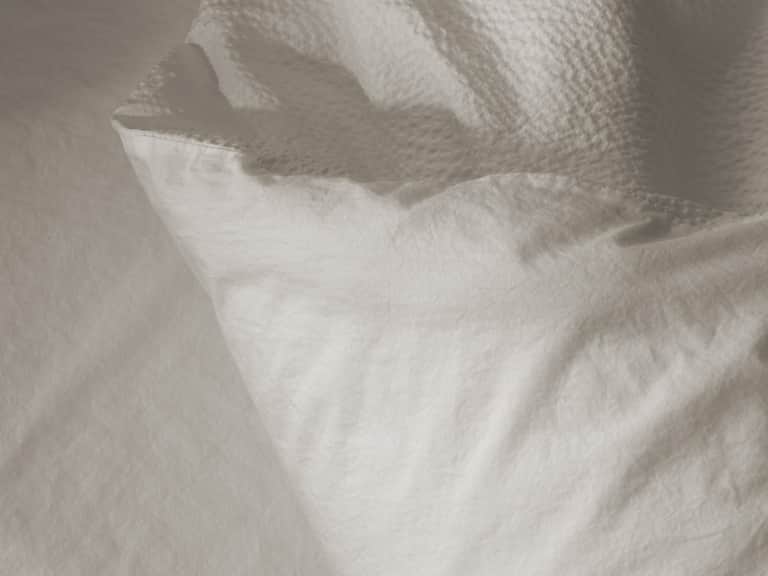 Sire Duvet Cover image