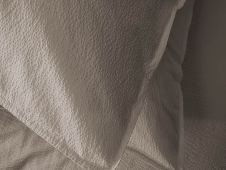 Sire Pillow Cases image