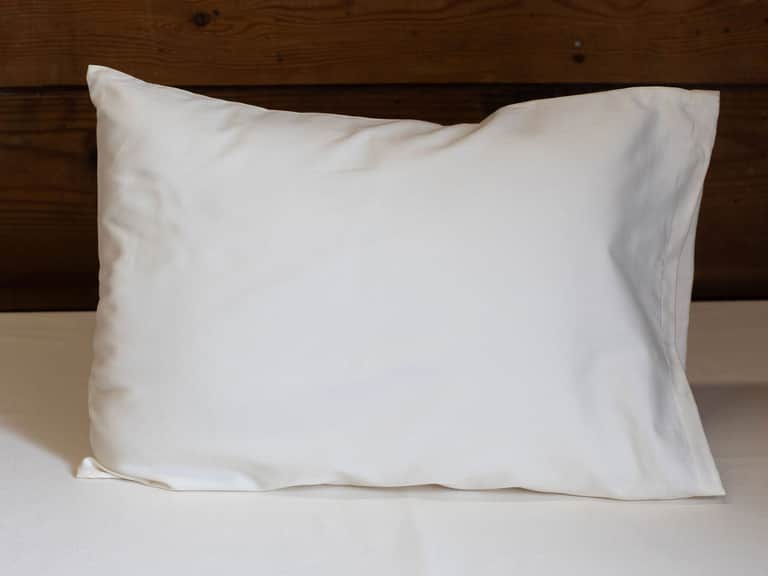 All-Natural Travel Pillow image