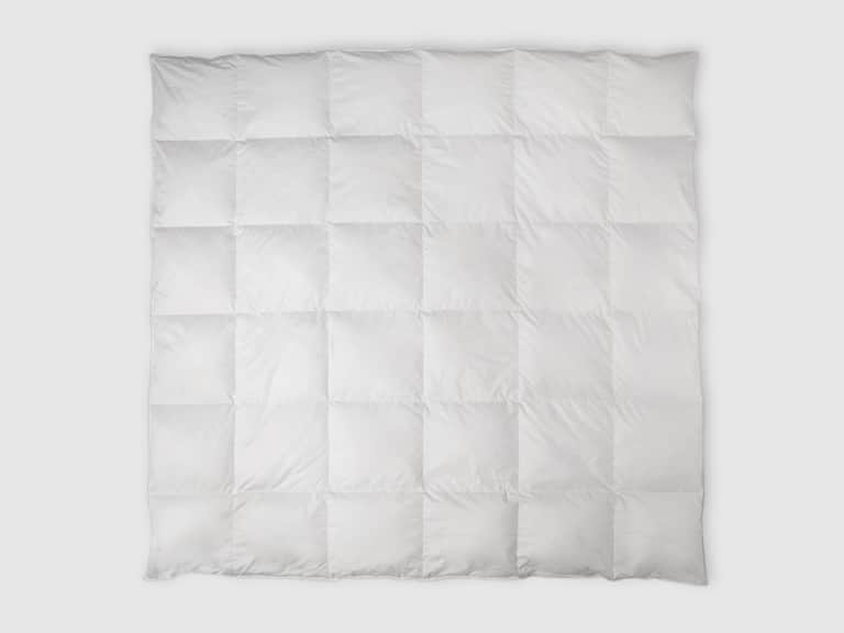 Laurel Warm- Best for: A Rich, Cocooning Warmth Designed for Ultimate Comfort image
