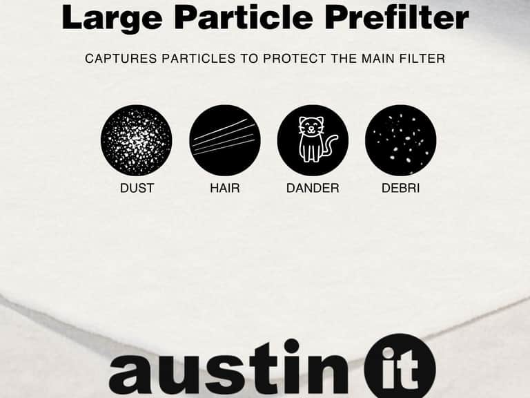 Austin &ldquo;it&rdquo; image