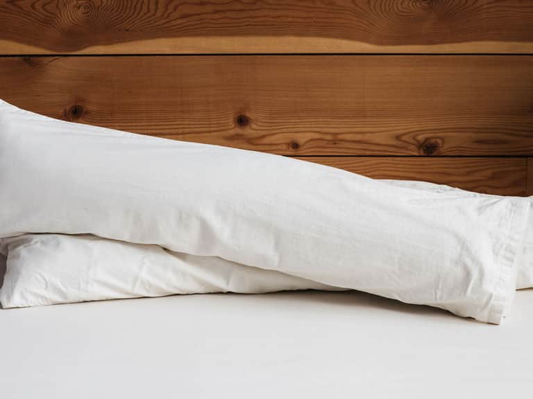 All-Natural Body Pillows image