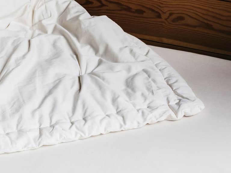Certified Organic Wool Comforter image