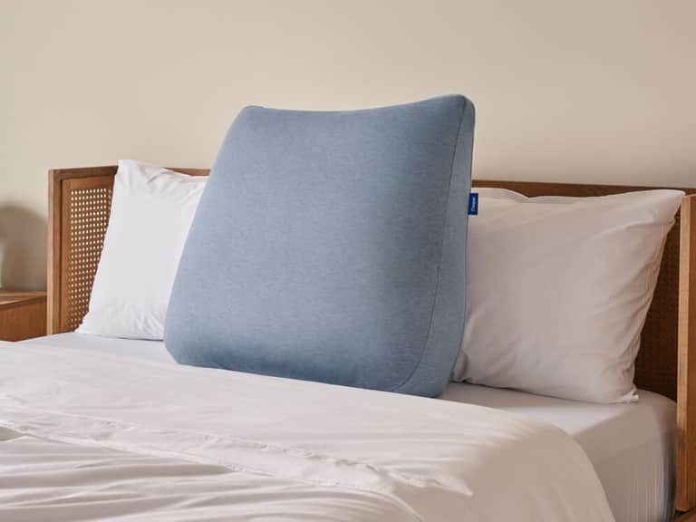 Backrest Pillow