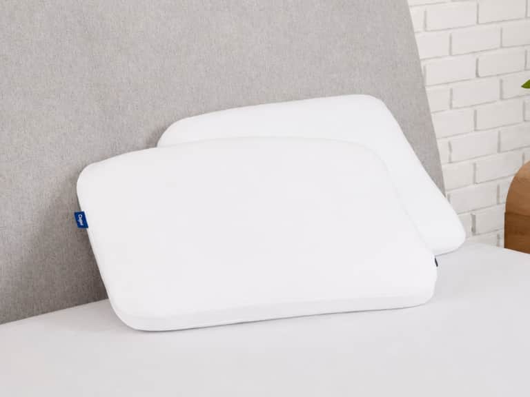 Foam Pillow with Snow Technology Double Pack