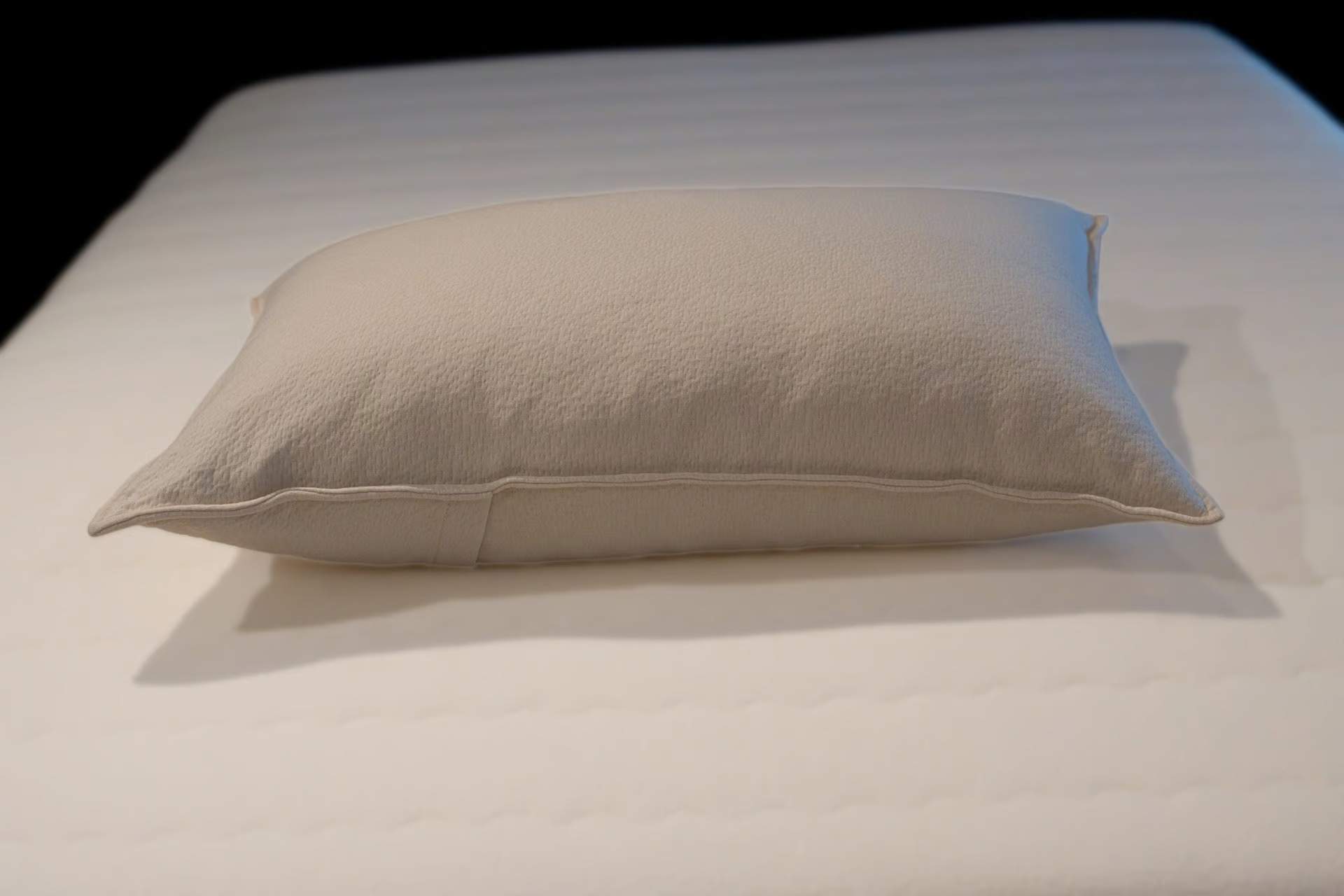 Healthy Choice Organic Shredded Latex Pillow | Pillows