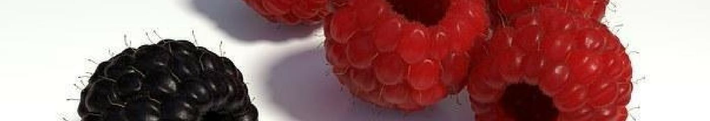 fruits