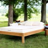 Savvy Rest Tranquility Latex Mattress image