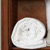 Gingerlily Silk Filled Comforter with silk cover image