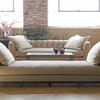 Cisco Home Richard Sofa image