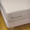 Meadow Organic Dunlop Latex Mattress image