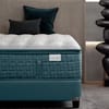 Aireloom Luxetop M2 Plush image