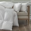 Sferra Cardigan Pillow image