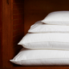 GingerLily Silk Blend Pillows image