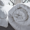 Gingerlily Silk Filled Half and Half Comforter image
