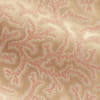 Gingerlily Silk Coral Fern Decorative Pillow image