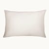 GingerLily Beauty Box Silk Pillowcase image