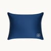GingerLily Silk Blend Travel Pillows image