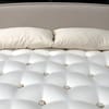 Naturally Organic Hudson Shredded Latex Pillow image