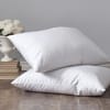 St Geneve Lajord Down Pillow image