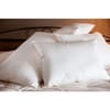 Ogallala Sequoia Ogallala® Down Pillow image
