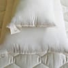 Holy Lamb Organics All Natural Body Pillow and Buddy Pillow image