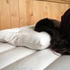 Holy Lamb Organics All Natural Orthopedic Neck Pillow image