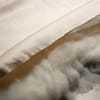 Sachi Organics Latex and Wool Bed Pillow image