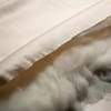 Sachi Organics Wool Bed Pillow - Extra thick image