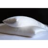 Perle Silk Pillow with Silk Shell image