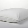 Coyuchi Organic Pillow Protector image