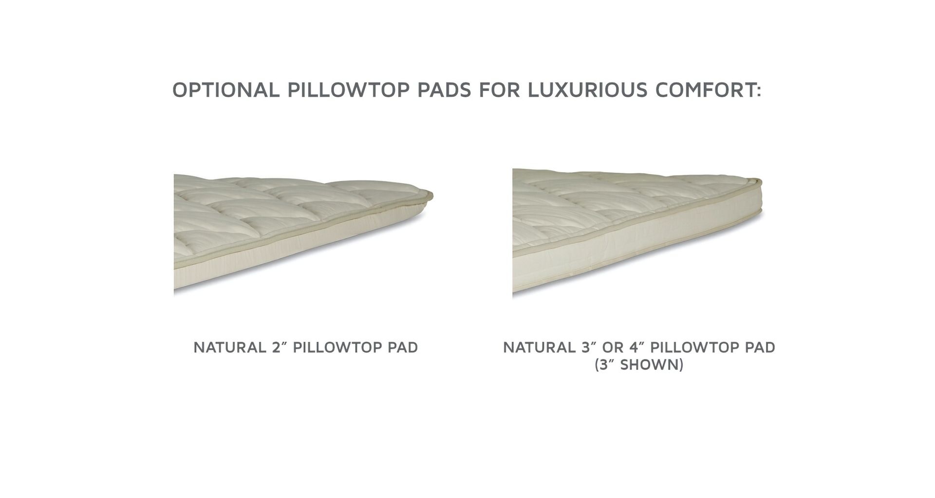 Royal Pedic Natural Cotton Mattress Organic Innerspring Mattresses